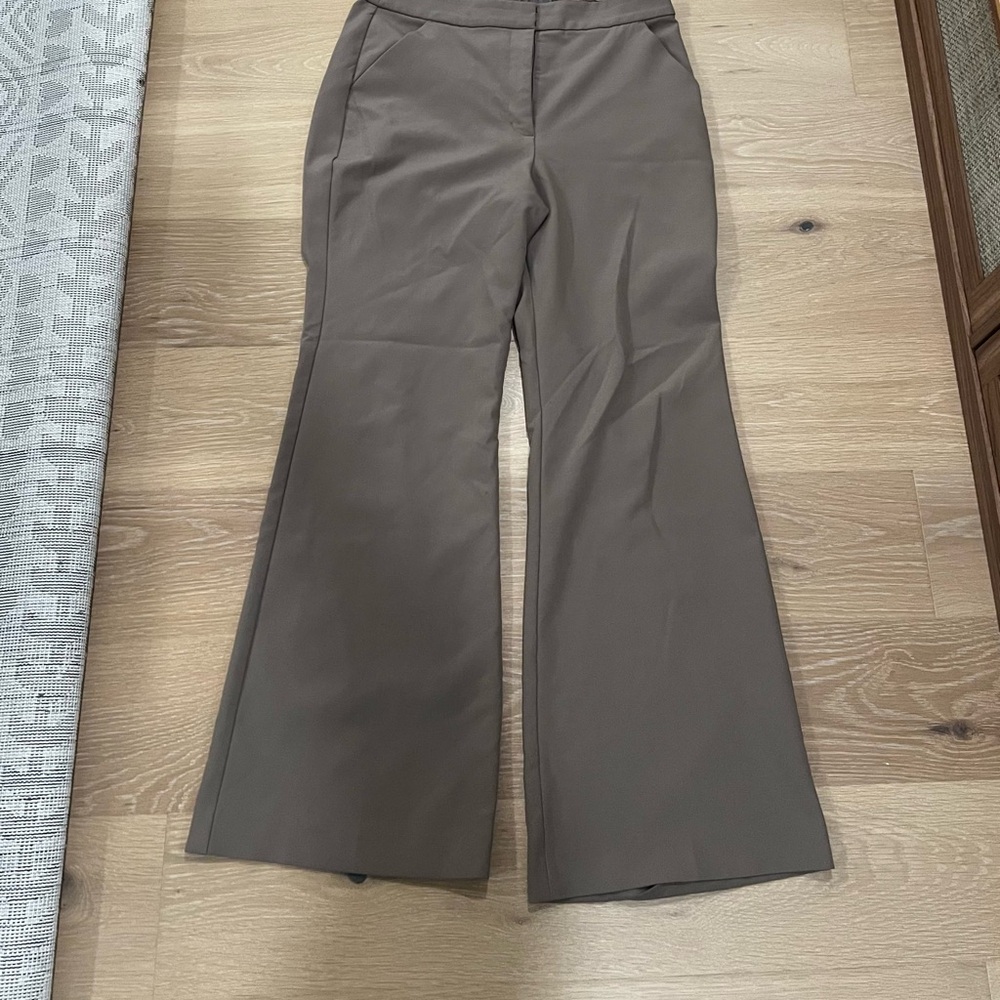 Express Editor Brown Pants